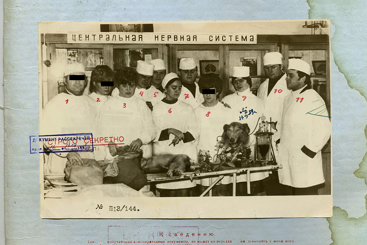 Name:  early.jpg
Views: 15825
Size:  342.5 KB